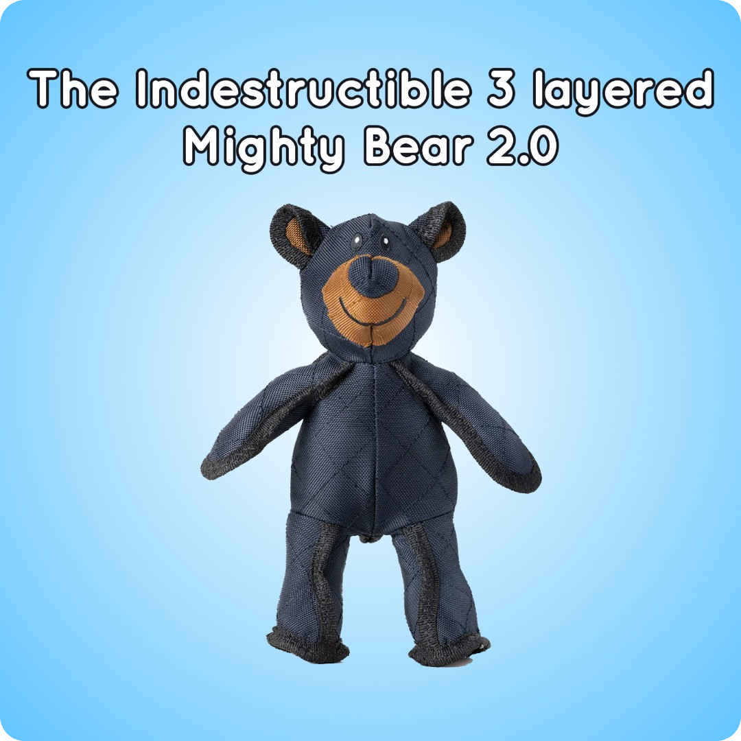 Mighty Bear 2.0